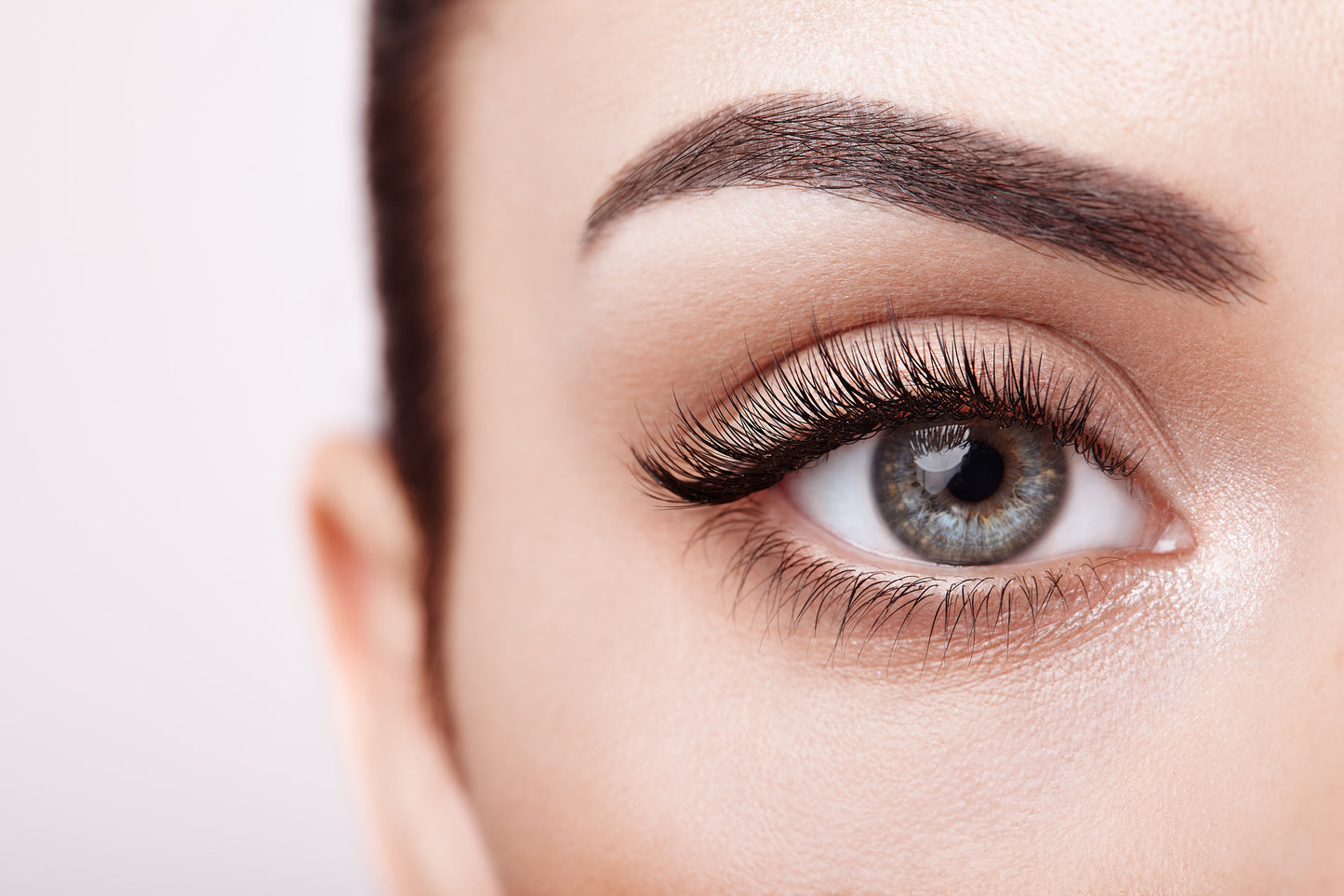 Deluxe Combo | Brow Lamination + Lash Lift $250